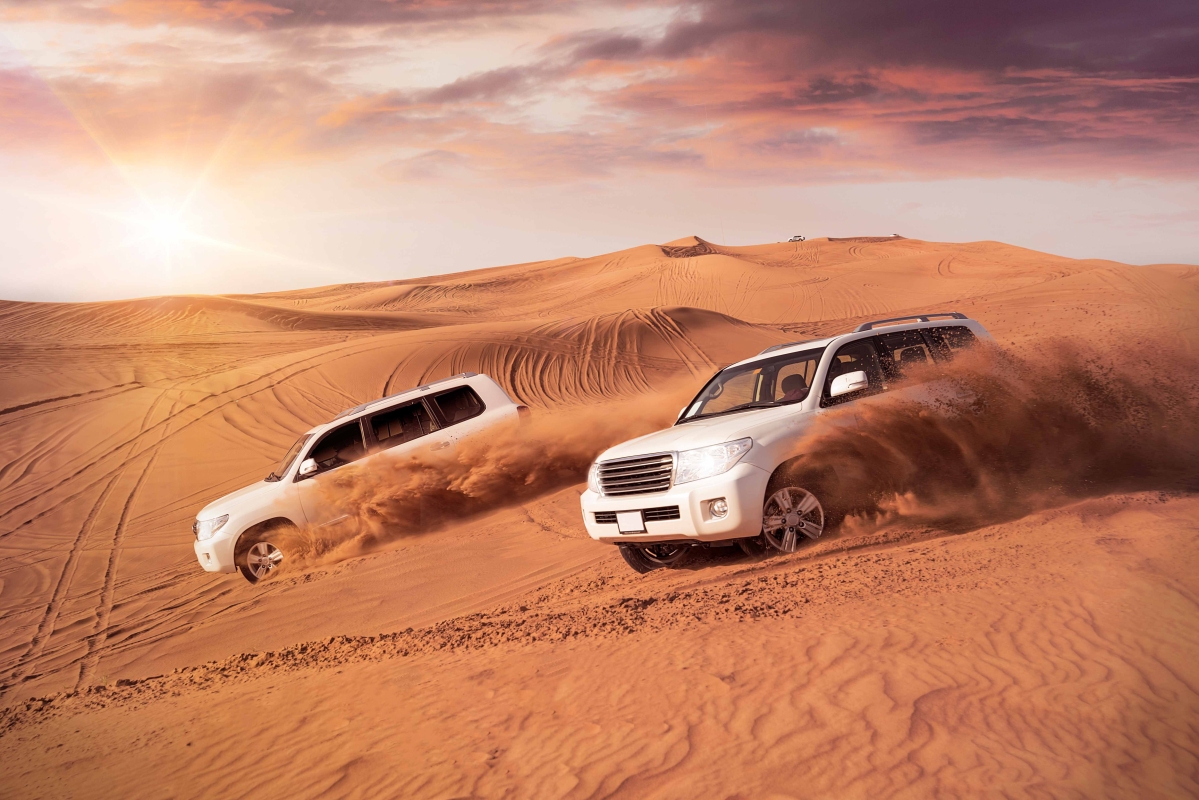 Dubai : Red Dune Safari, BBQ VIP Dinner, Camel & Traditional Show