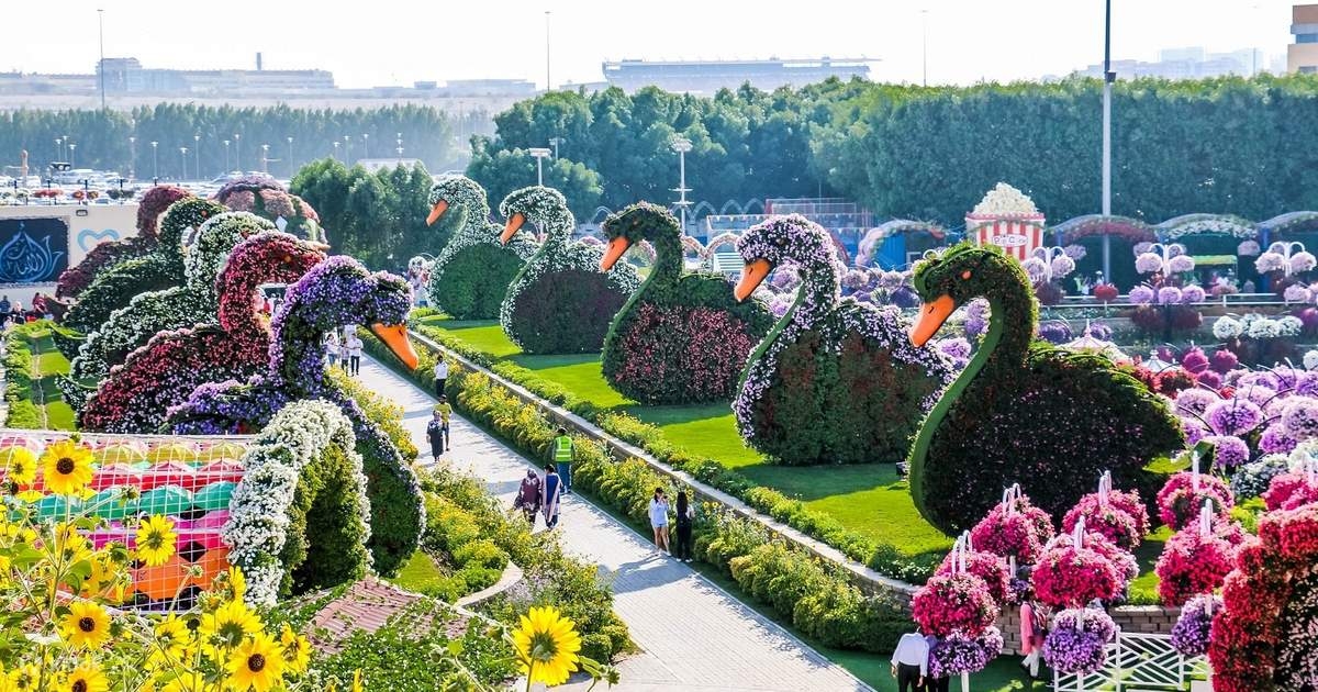 Dubai : Miracle Garden, The World's Largest Flower Paradise