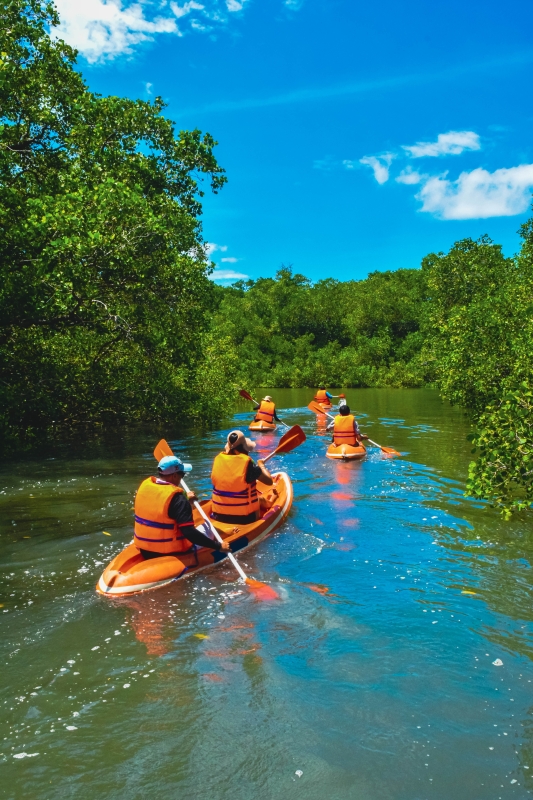 Bali Mangrove Canoeing Tour