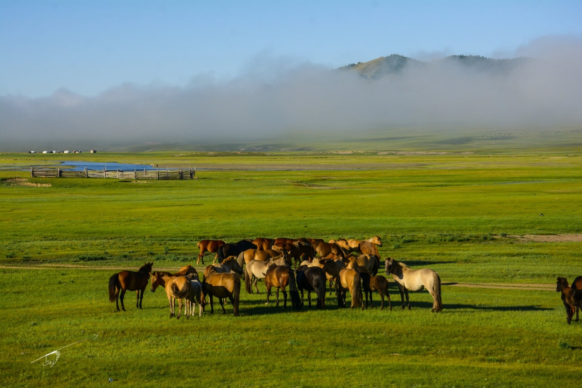 North Mongolia