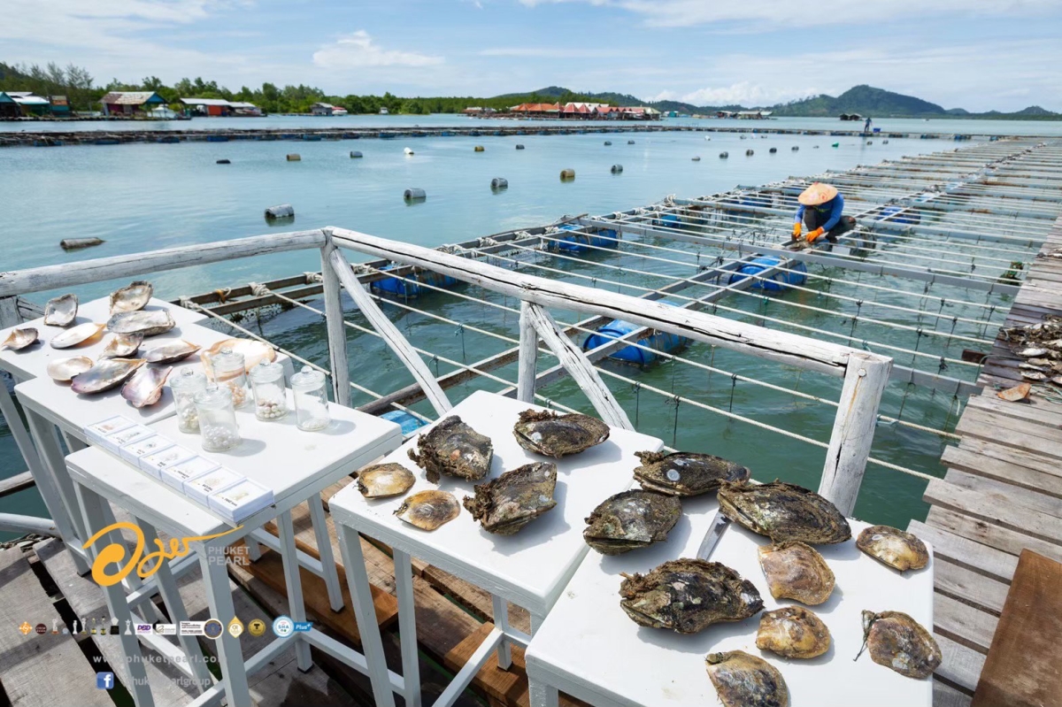 Phuket City tour & Pearl Farm (Private)