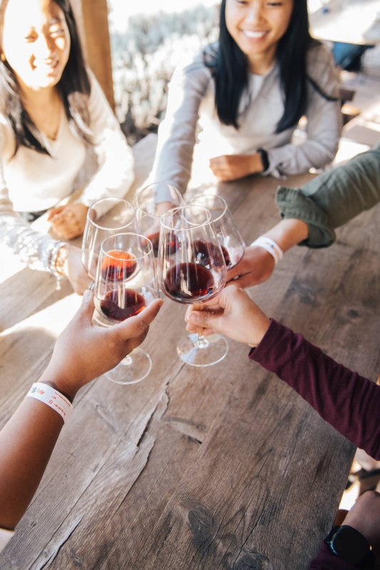 Chianti Wine Experience: Wine Tasting and Cellar Tour in the Heart of Tuscany from Florence