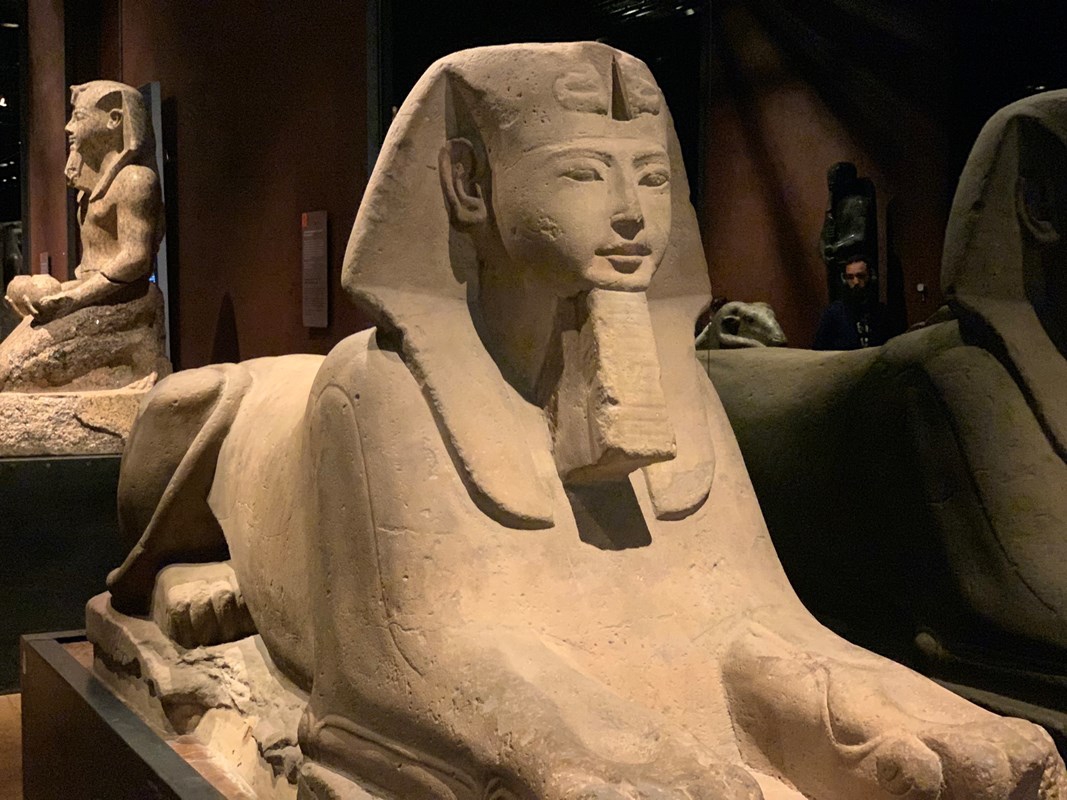 Egyptian Museum of Turin: Entrance Ticket & Hop On Hop Off tour
