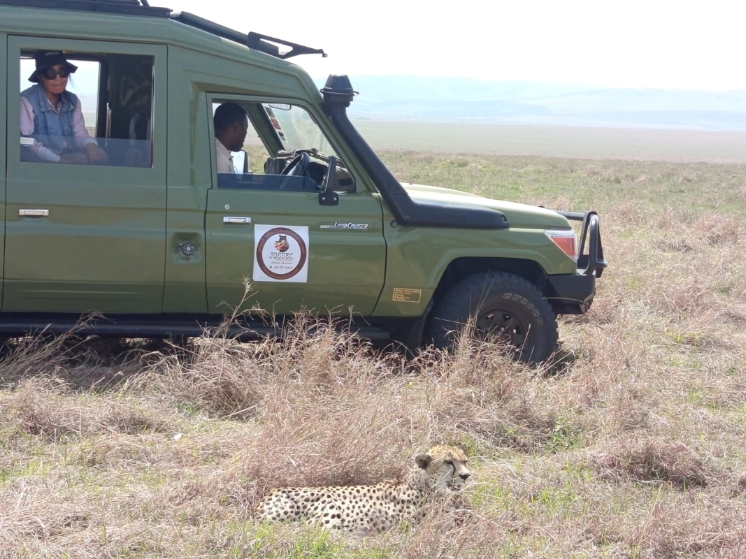 Luxury Kenya Safari: 7 Days in Amboseli, Lakes, and Masai Mara with Sopa Lodges