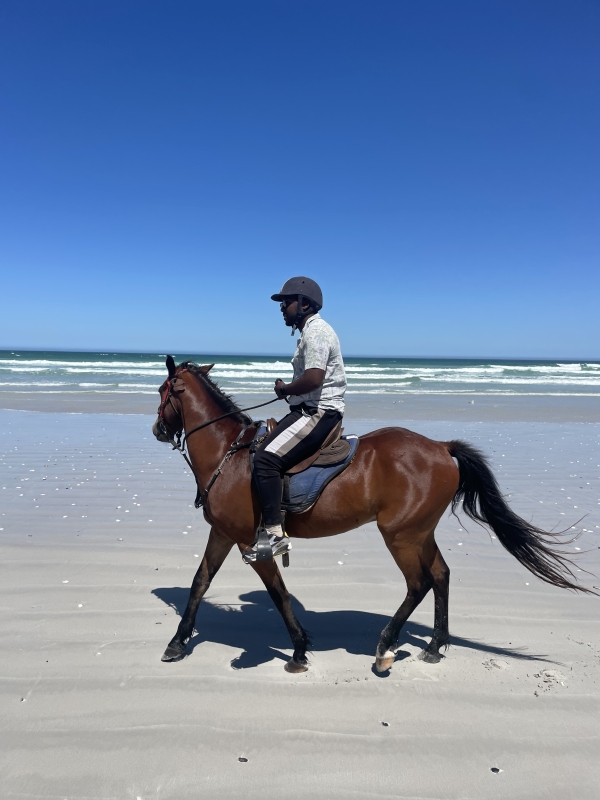 Beach Horse Ride with Hotel Pickup & Drop-off- Cape Town