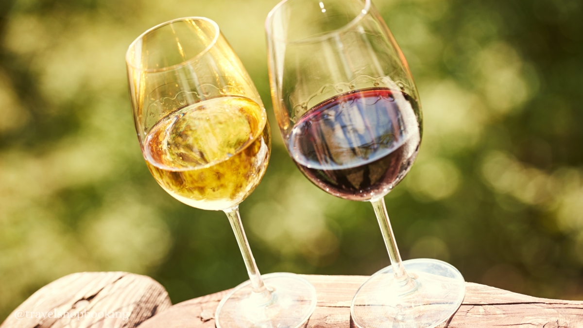 Kakheti Wine Tour from Tbilisi – Tsinandali Estate, Shumi Winery & Qvevri Wines