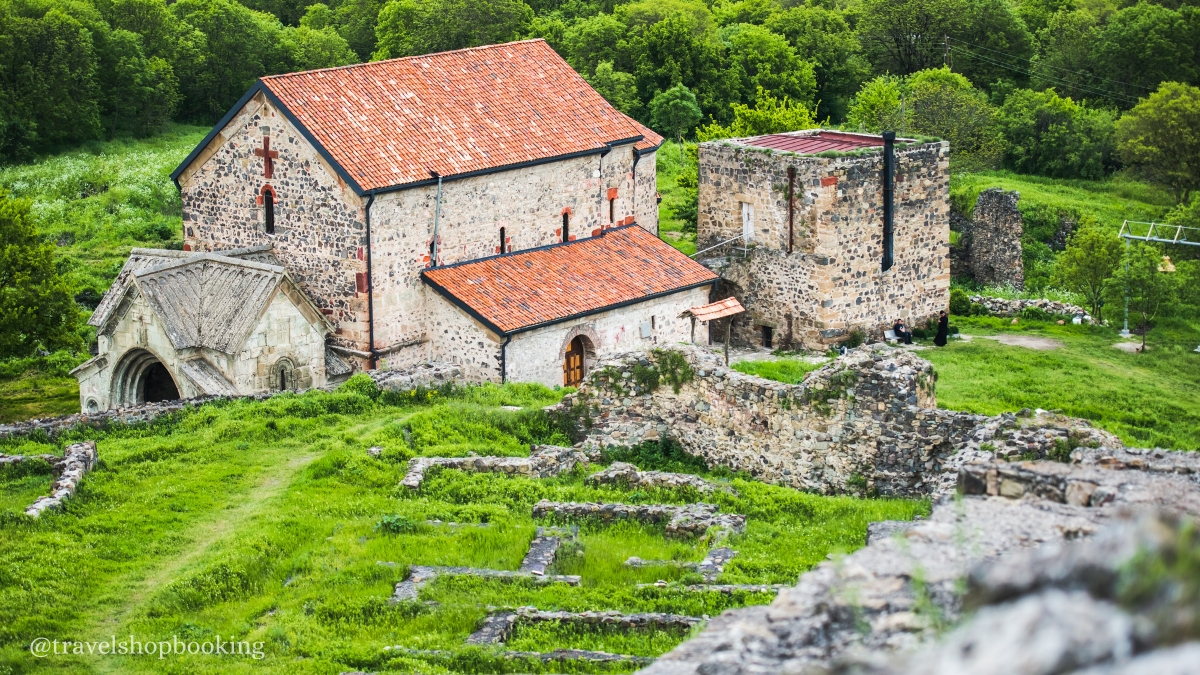 Dmanisi, Bolnisi & Tsugrugasheni Tour from Tbilisi – Ancient Archaeological Sites