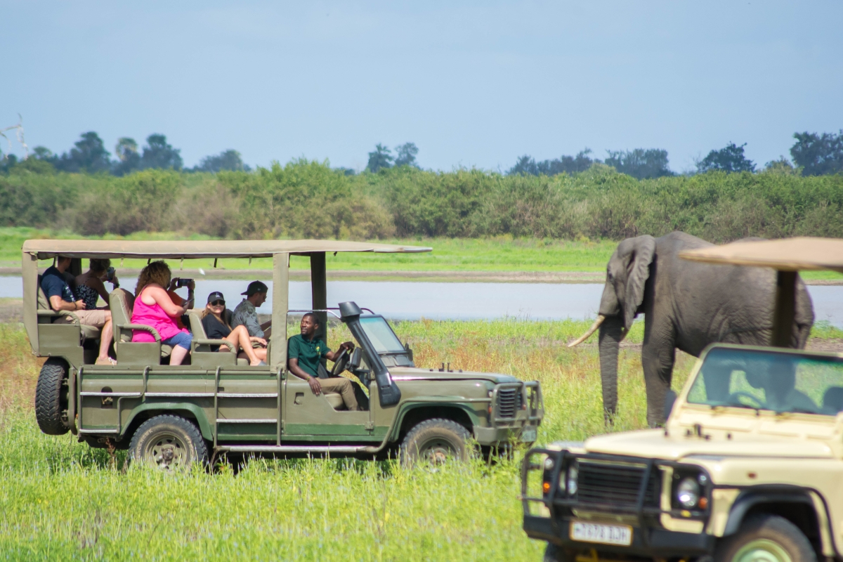 The perfect 2 Days Safari Selous G.R/Nyerere National Park