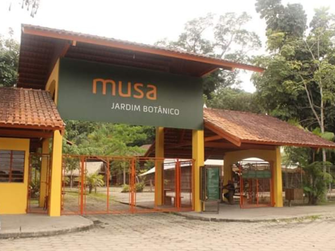 Tour no MUSA – Museu da Amazônia em Manaus