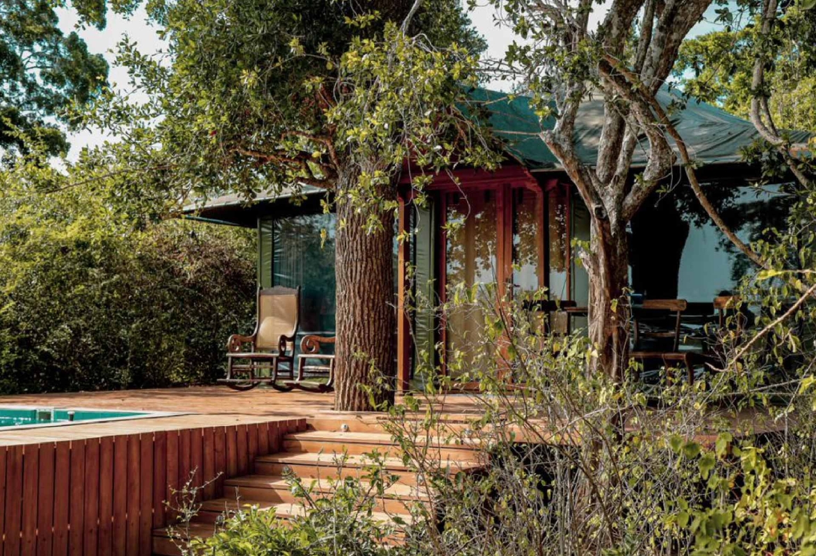 Into the Wild: A Luxury Sri Lankan Jungle Safari