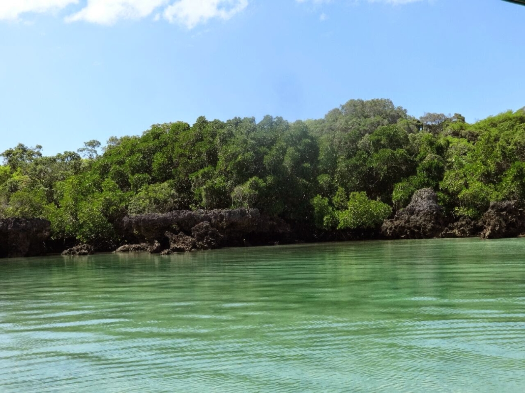 Safari blue or Menai Bay