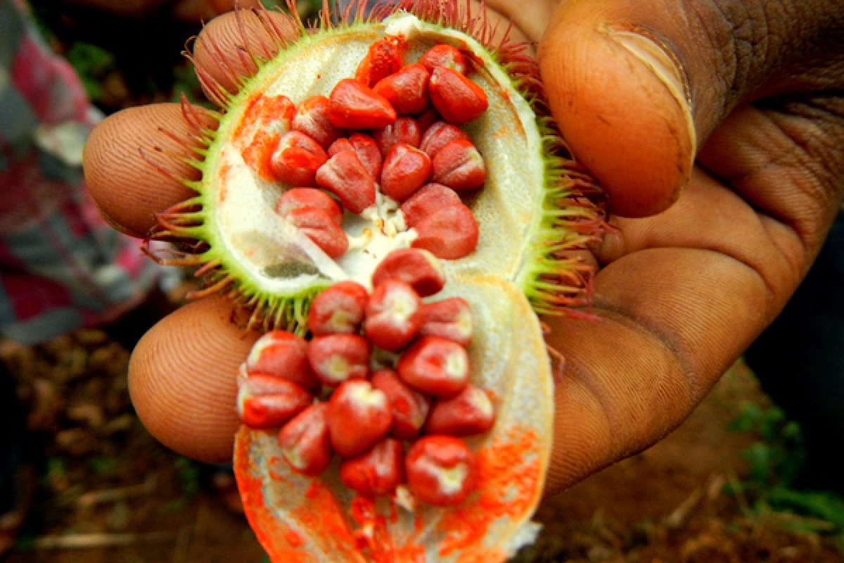 Zanzibar Spice and Stone Town Tour Cultural Experience