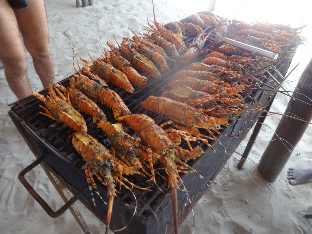 7-Day Zanzibar Itinerary – Culture, Beach & Adventure