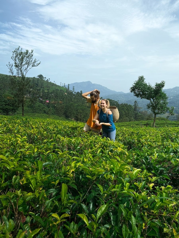 The Sri Lankan Experience –07Days