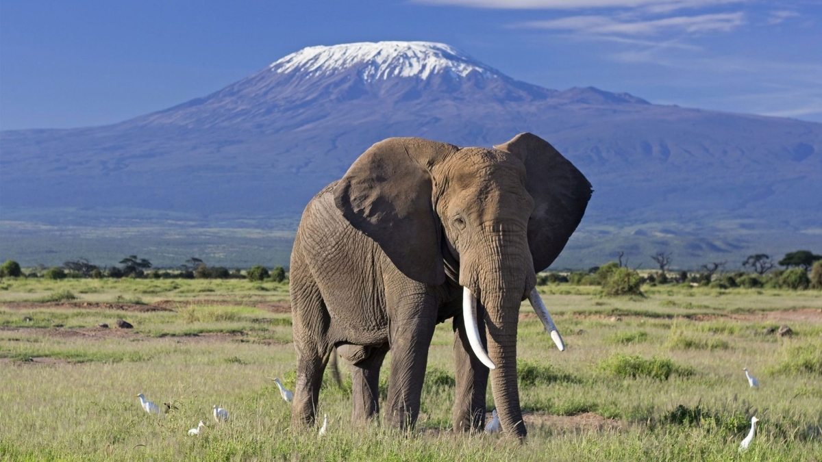 3 Days 2 Nights Amboseli National Park