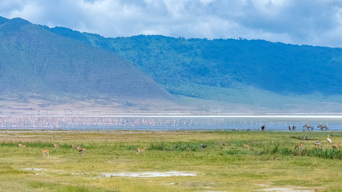 4-Day Northern Tanzania Budget Joining Safari