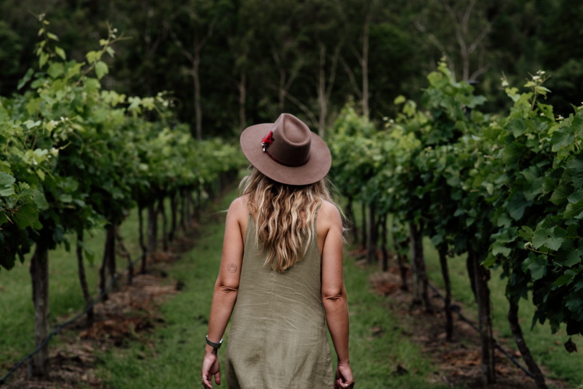 Tamborine Mountain - Hop On Hop Off - From Brisbane & Gold Coast