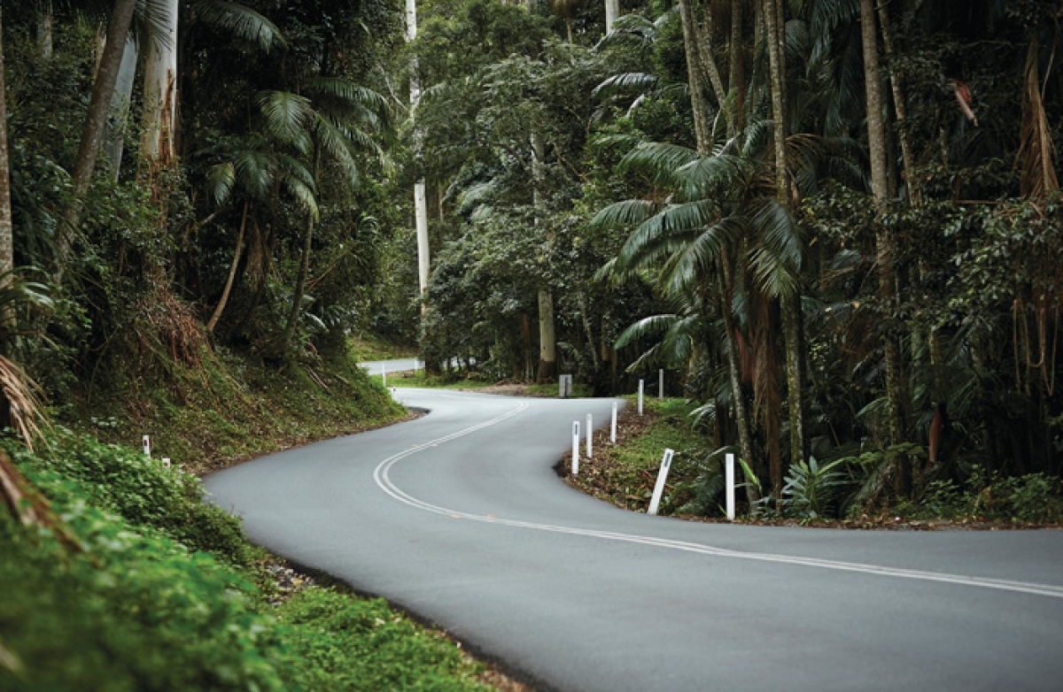 Tamborine Mountain - Hop On Hop Off - From Brisbane & Gold Coast