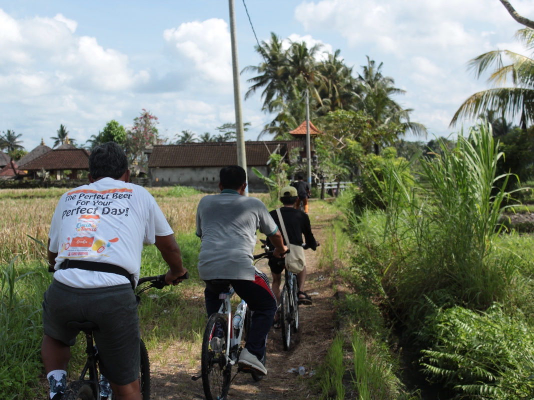 Ubud Eco Cycling Tour with Rice Fields, Villages & Local Lunch