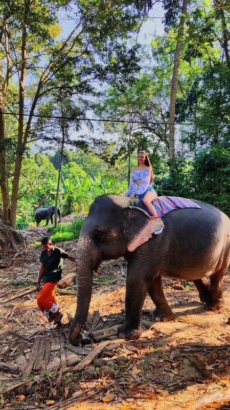 Wildlife and Nature Tour-18Days