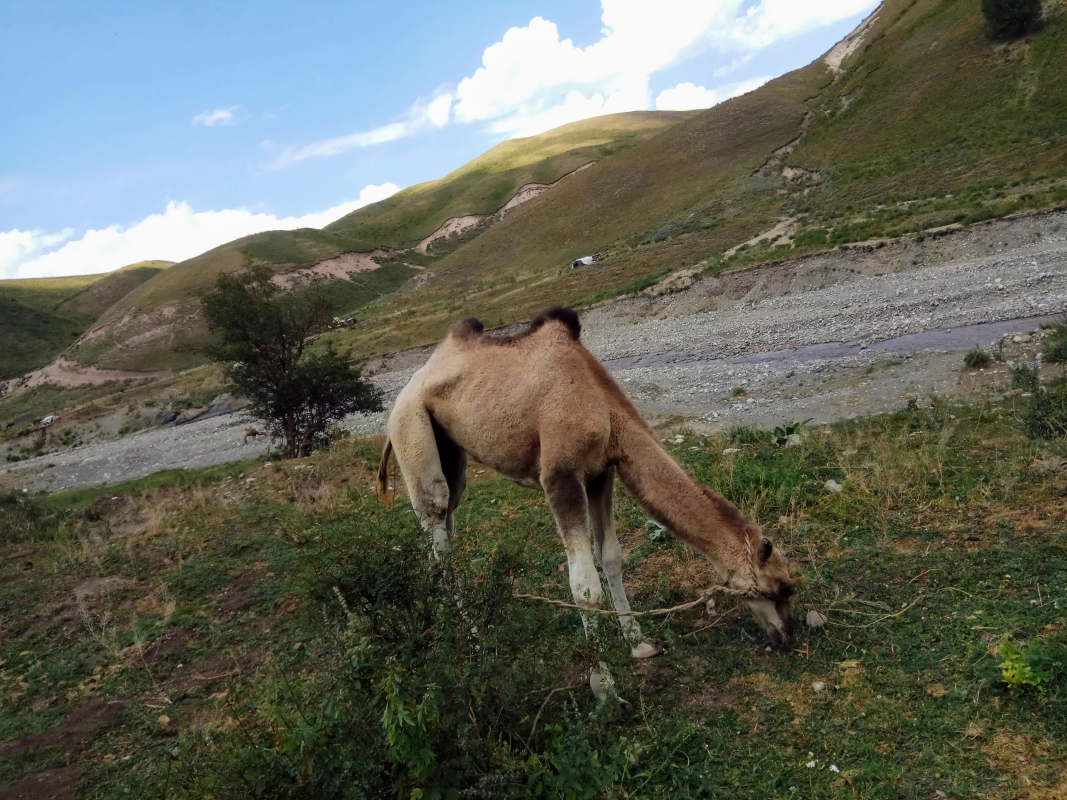 5-Day Horse Riding & Cultural Tour – Kyrgyzstan