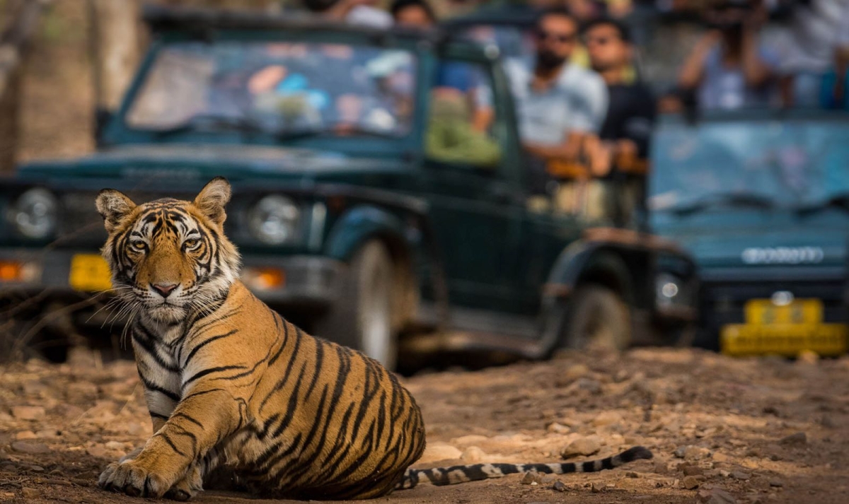 Luxury Golden Triangle Tour with Ranthambore