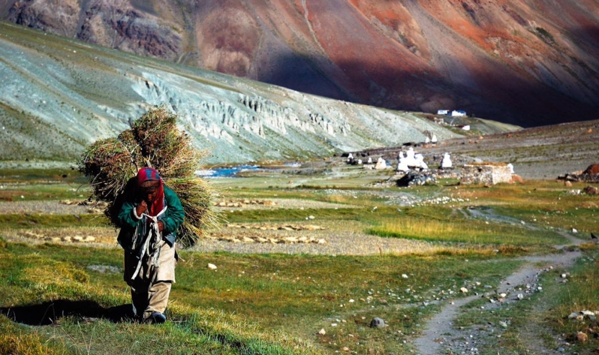 India Golden Triangle with Leh & Ladakh
