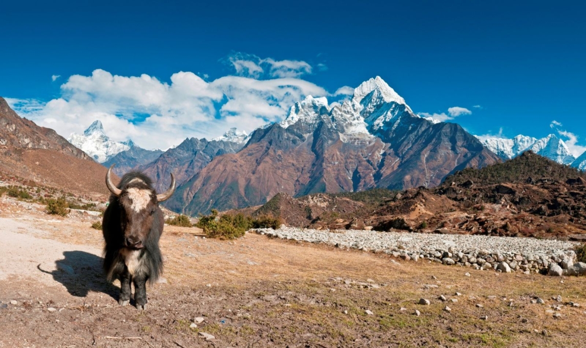 Leh Ladakh - Best of Tibet Experience