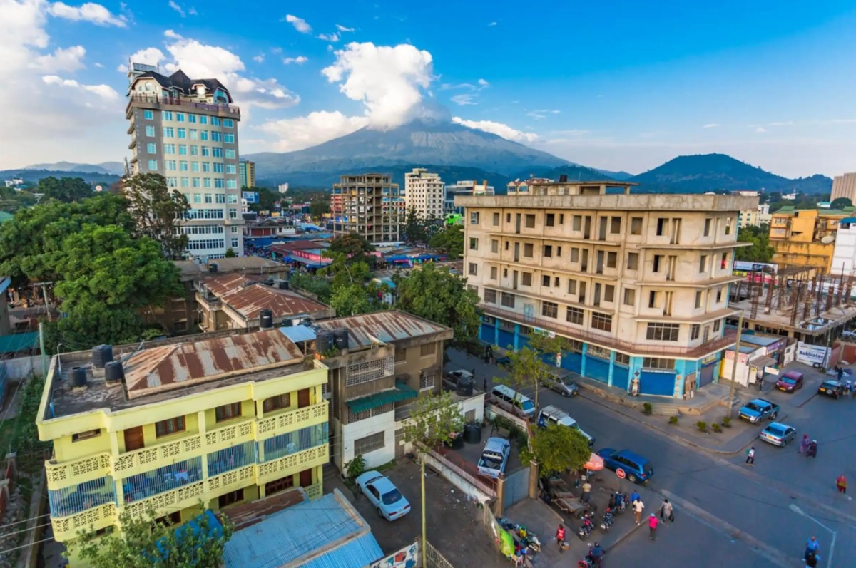 From Arusha: Guided City Tour with the best highlights