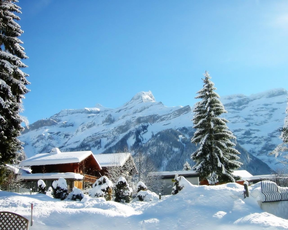 Shimla, Manali, Chandigarh with Delhi Tour