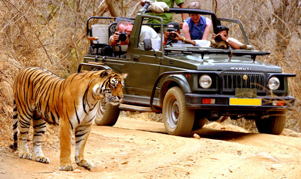 Bandhavgarh, Kanha, Pench & Taj Trails By G Experiences
