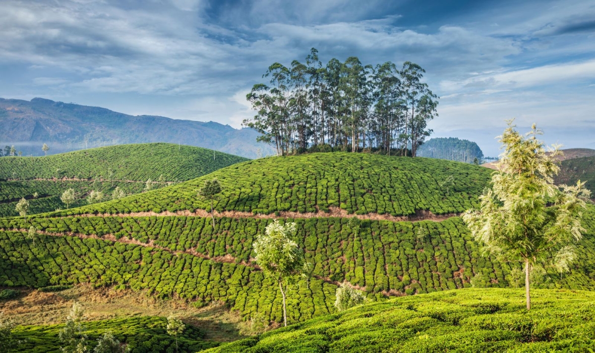 Kerala Amazing Trails By G Experiences