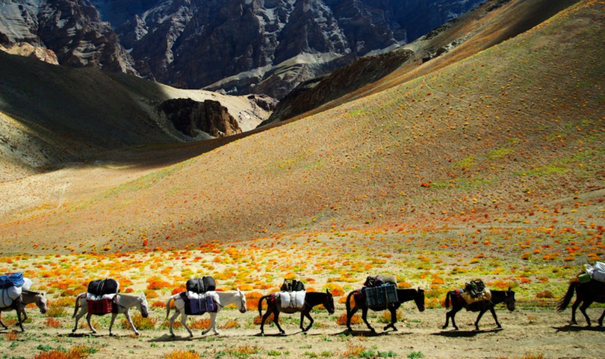Leh & Ladakh Trails By G Experiences