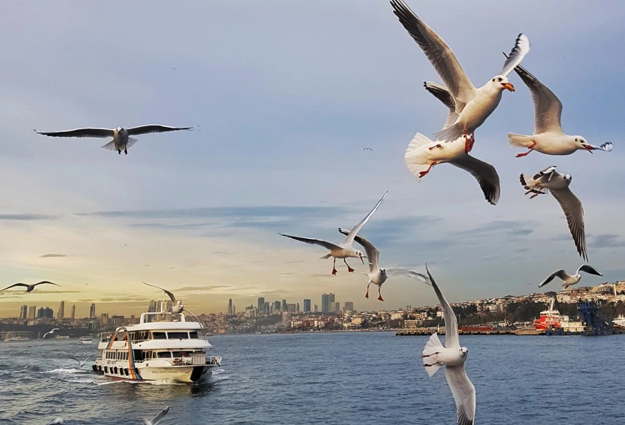4 Day Private Luxury Istanbul City Tour