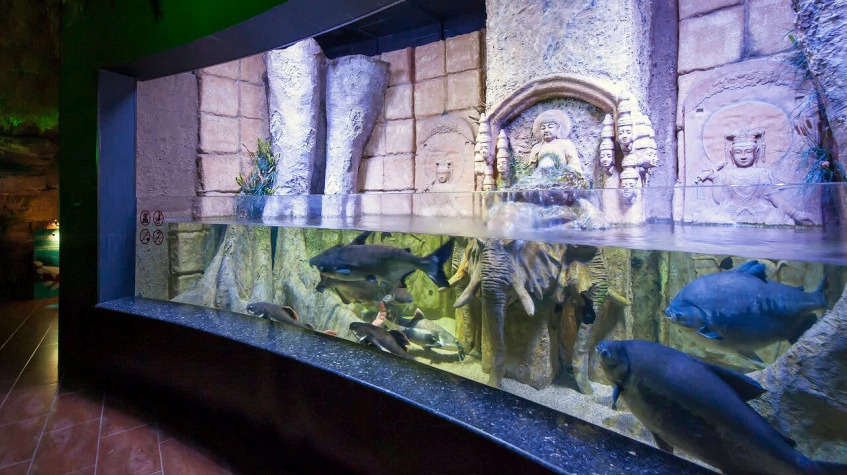 Daily Antalya Aquarium Tour