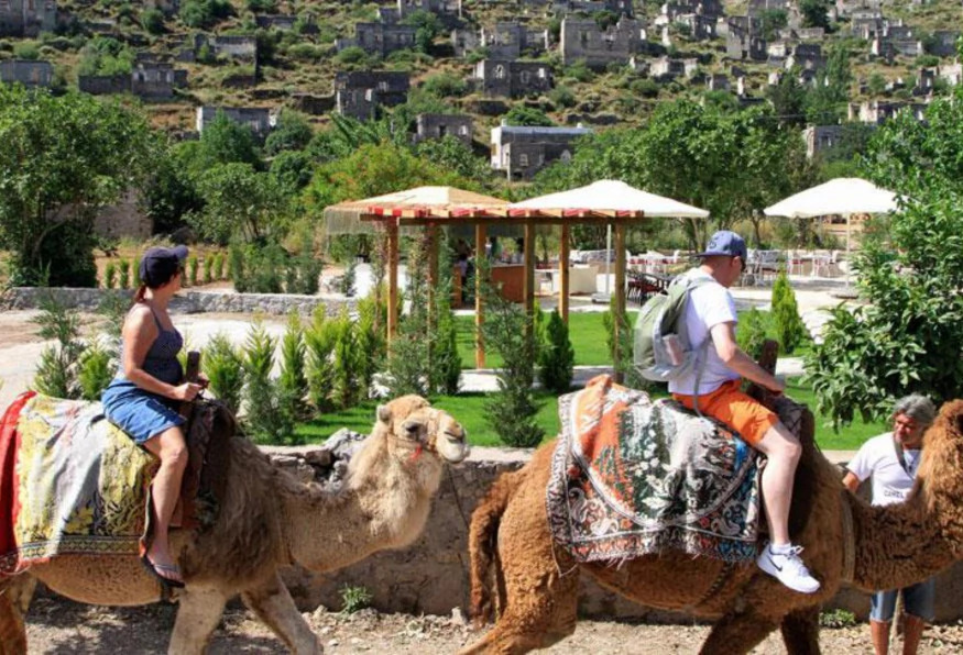 Daily Camel Riding Tour