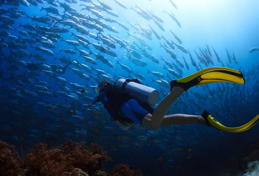 Daily Alanya Diving In The Mediterranean Sea Tour