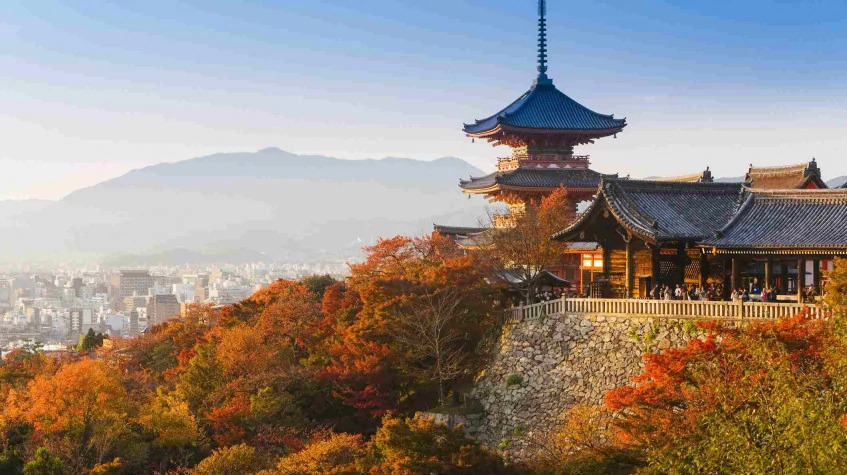 7 Days Japan Tour  Package