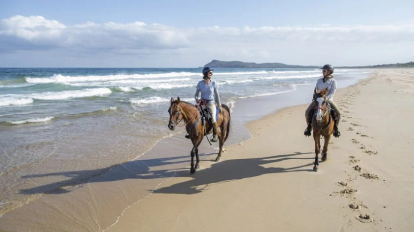 Horse Riding At the Golden Sandy Beach of Antalya