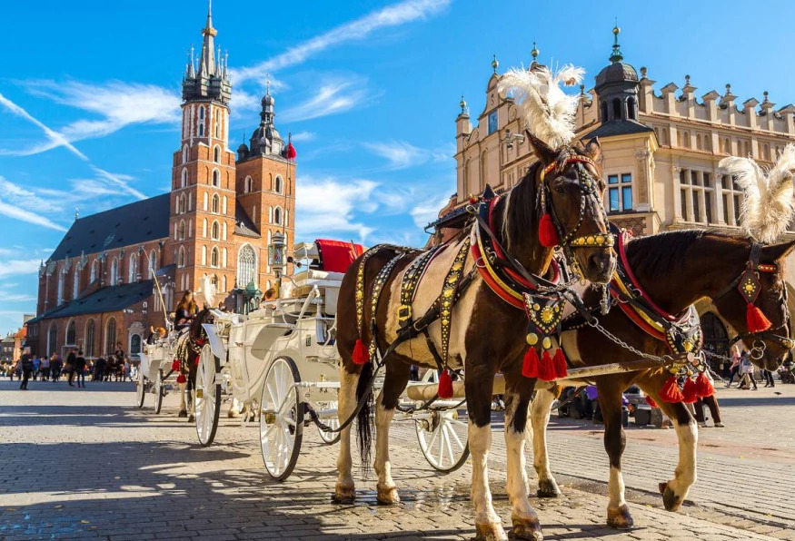 13 Day Polish and Baltic Jewels Tour