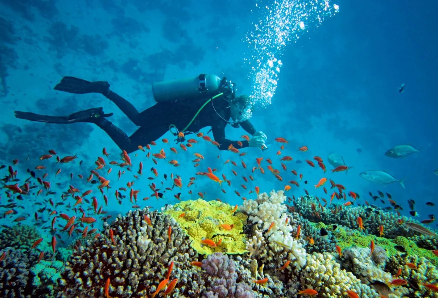 Daily Scuba Diving Tour from Kemer