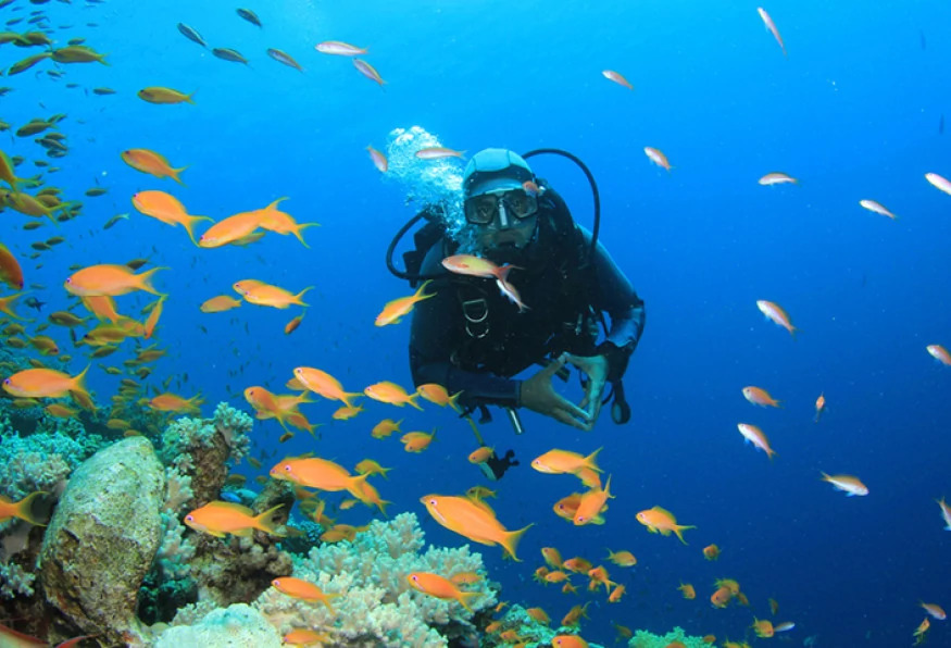 Daily Scuba Diving Tour from Olympos