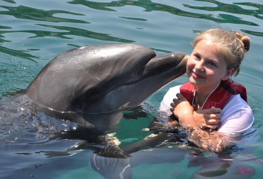 Daily Marmaris Swim With Dolphins
