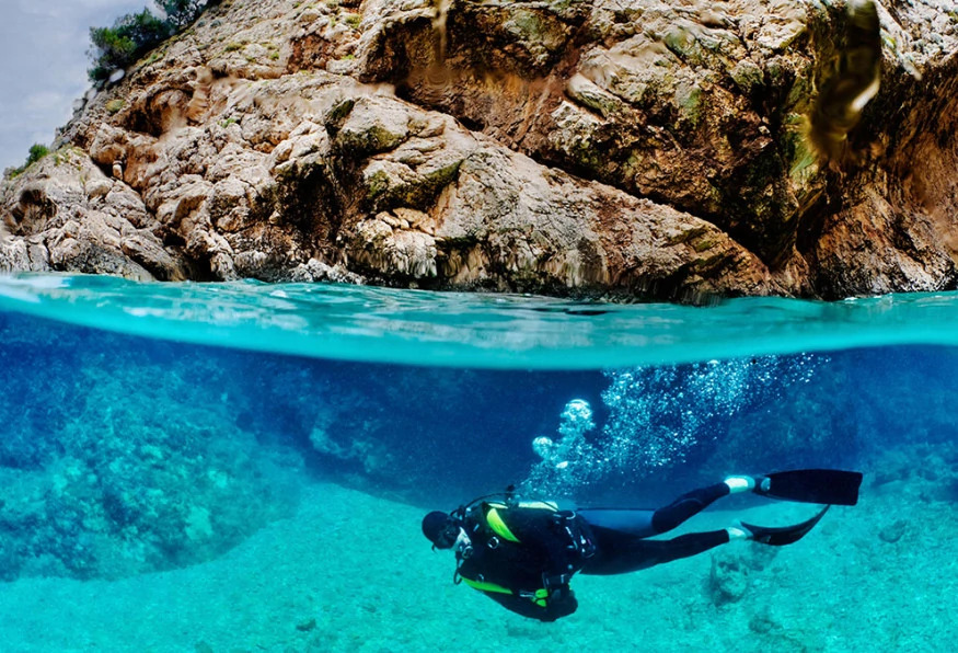 Daily Bodrum Scuba Diving Tour From Didim