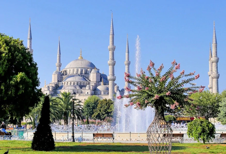 Private Daily Istanbul City Tour from Selcuk