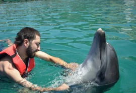 Daily Bodrum Dolphin Park Tour