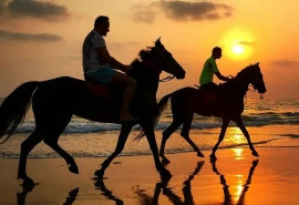 Daily Horseback Riding In Marmaris