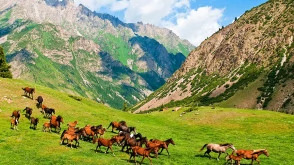 Wild Nature and Nomadic Life on Horseback