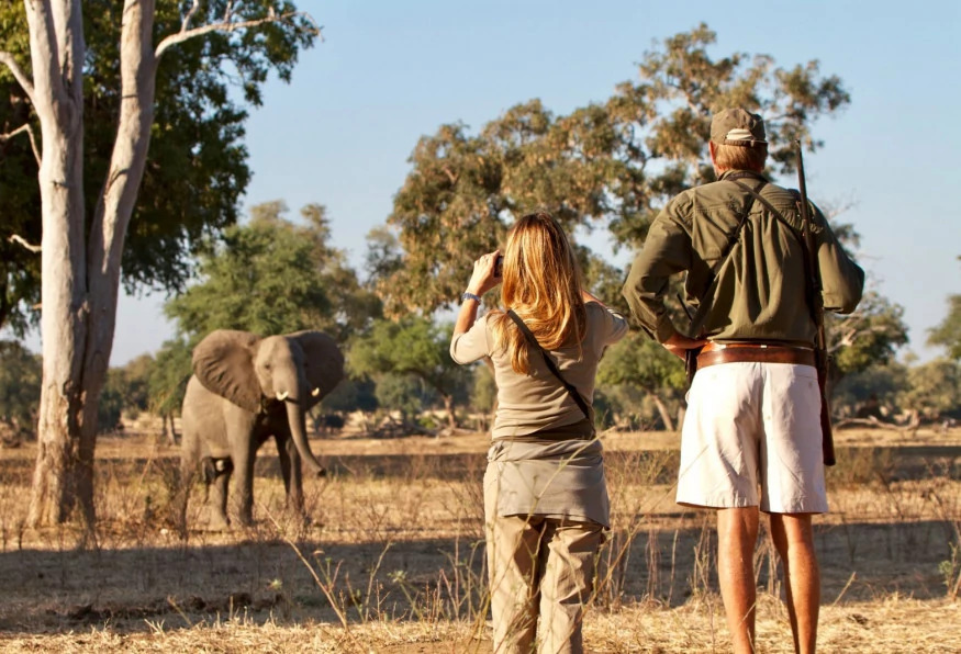 4 Days Safari in Tanzania