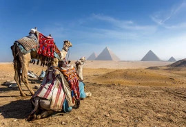 12 Egypt Holiday Visit Cairo Luxor Aswan & Hurghad